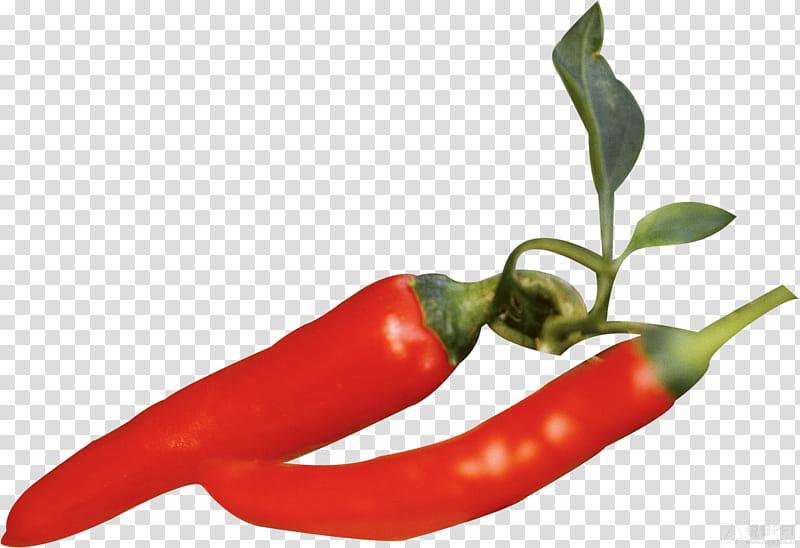 Eye, Birds Eye Chili, Bell Pepper, Serrano Pepper, Cayenne Pepper, Tabasco Pepper, Malagueta Pepper, Facing Heaven Pepper transparent background PNG clipart