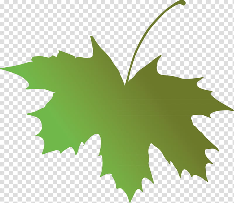 Family Tree, Maple Leaf, Grape Leaves, Common Grape Vine, Fig Leaf, Branch, Green, Plants transparent background PNG clipart