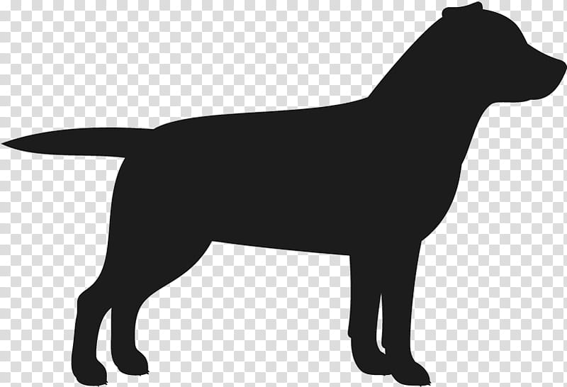 Dog And Cat, Labrador Retriever, Puppy, German Shepherd, Silhouette, Breed, Fur, Dirt Bike transparent background PNG clipart