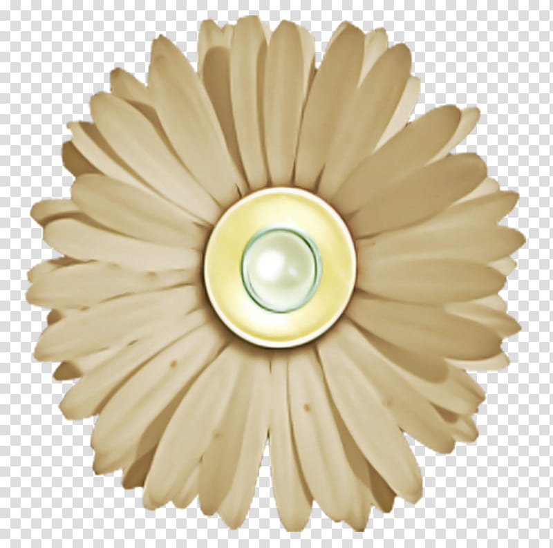 gerbera ceiling beige petal flower, Plant transparent background PNG clipart