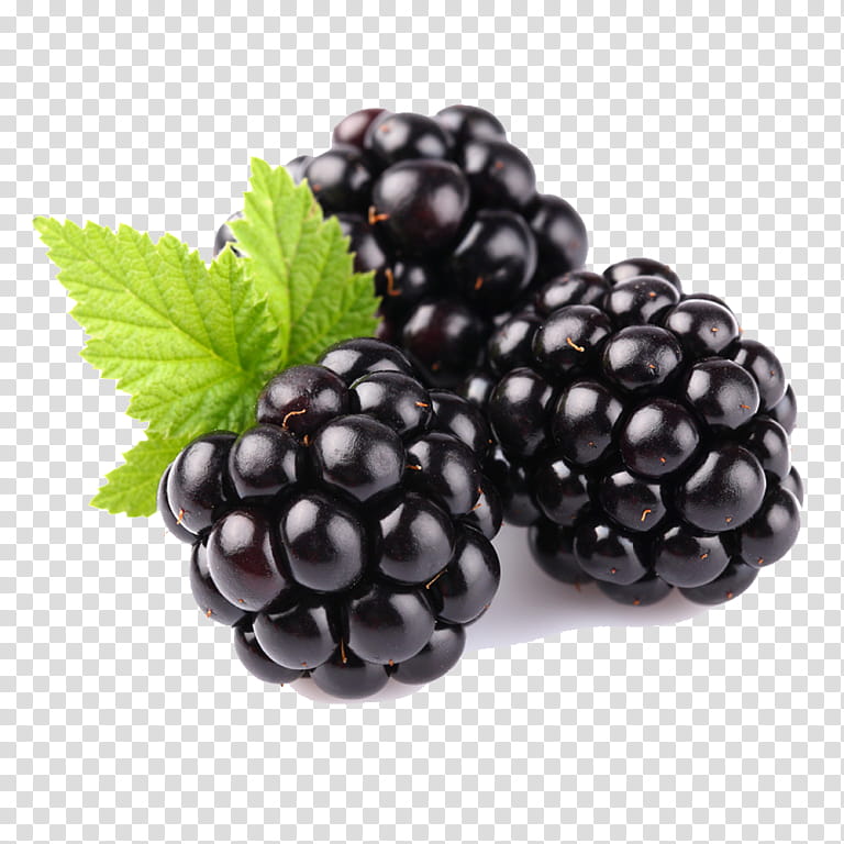 berry blackberry fruit rubus plant, Food, Grape, Superfood, Boysenberry, Dewberry transparent background PNG clipart