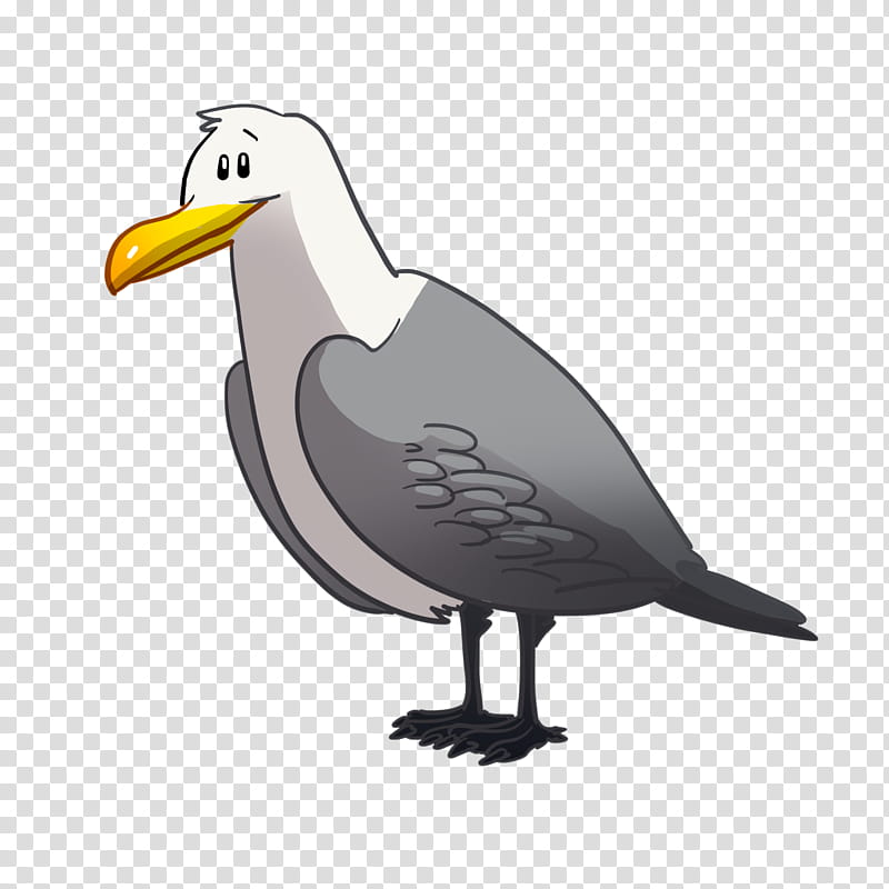 Grey, Beak, Goose, Cygnini, Bird, Grey Geese, Duck, Ducks transparent background PNG clipart