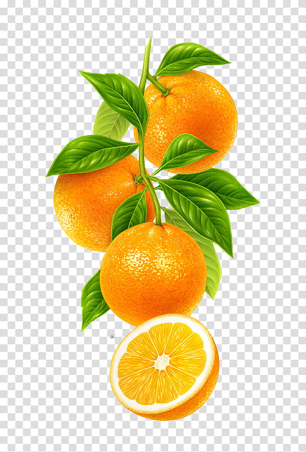 transparent orange fruit