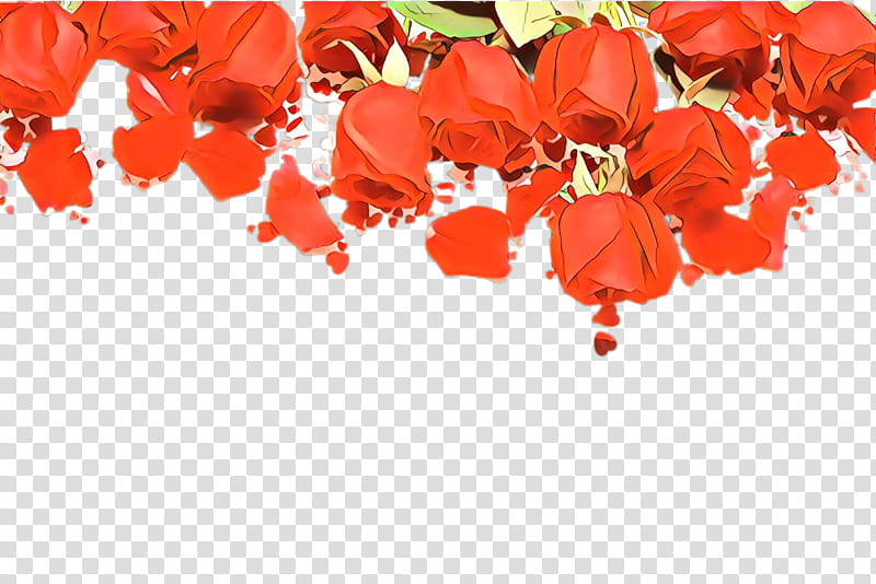 Orange, Red, Leaf, Petal, Flower, Plant, Coquelicot, Cut Flowers transparent background PNG clipart