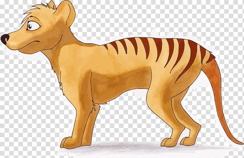 Cat And Dog, Tasmanian Devil, Thylacine, Bengal Tiger, White Tiger, Wildlife, Tail, Lion transparent background PNG clipart