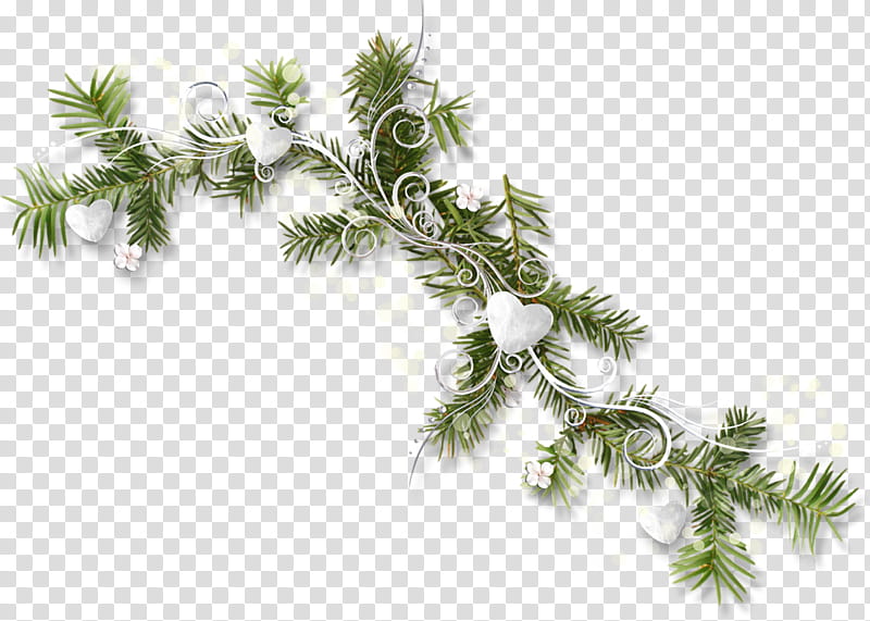 Christmas And New Year, Christmas Tree, Christmas Ornament, Christmas Day, Spruce, Fir, Holiday, Branch transparent background PNG clipart