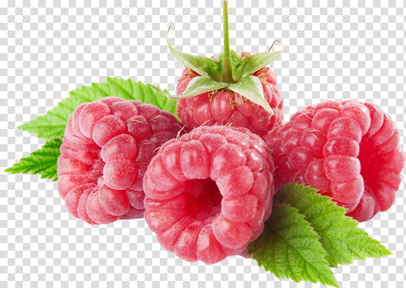 Indian Food, Raspberry, Fruit, Berries, Red Raspberry, Vegetable, West Indian Raspberry, Plant transparent background PNG clipart
