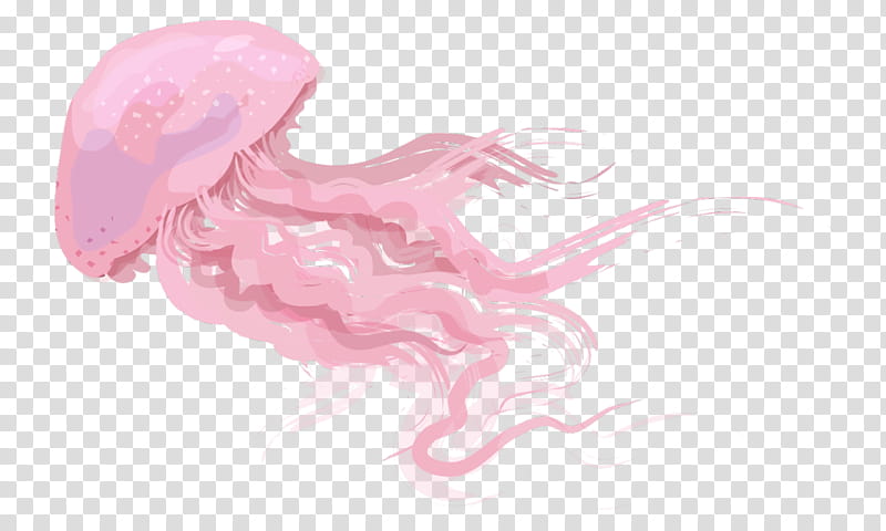 Pink , pink jellyfish illustration transparent background PNG clipart