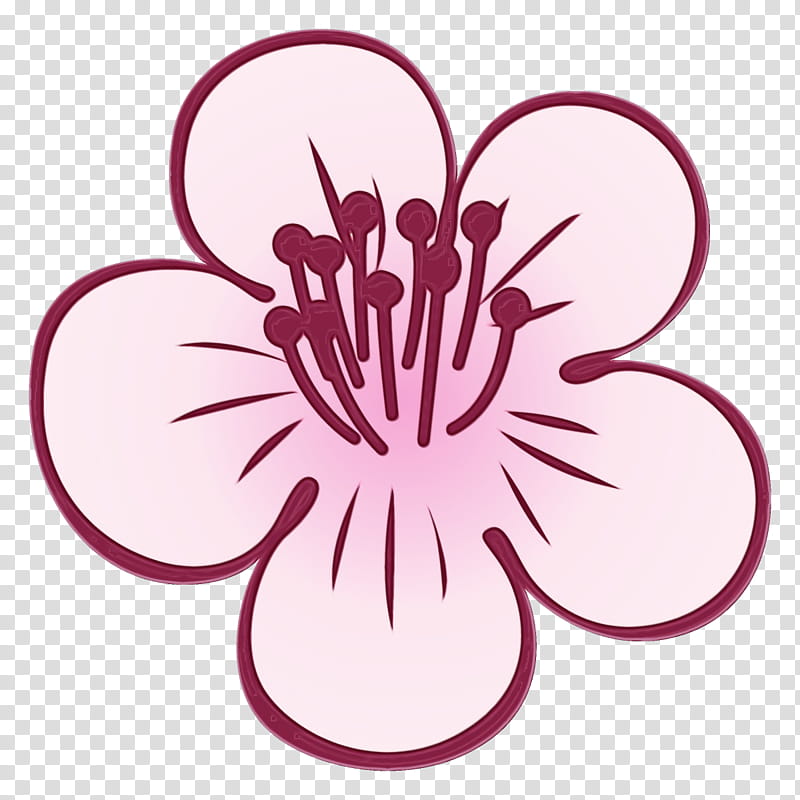 pink flower plant petal magenta, Plum Blossoms, Winter Flower, Watercolor, Paint, Wet Ink transparent background PNG clipart