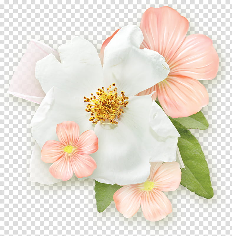 Flowers, Rose, Petal, Cut Flowers, Flower Bouquet, 1800flowers, Rosemallows, Artificial Flower transparent background PNG clipart