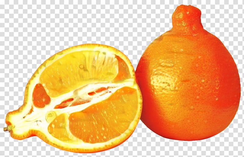 Lemon, Tangelo, Clementine, Orange, Mandarin Orange, Fruit, Tangerine, Blood Orange transparent background PNG clipart