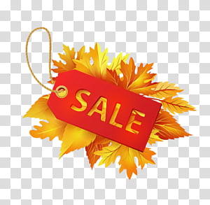 Orange, Yellow, Logo transparent background PNG clipart thumbnail