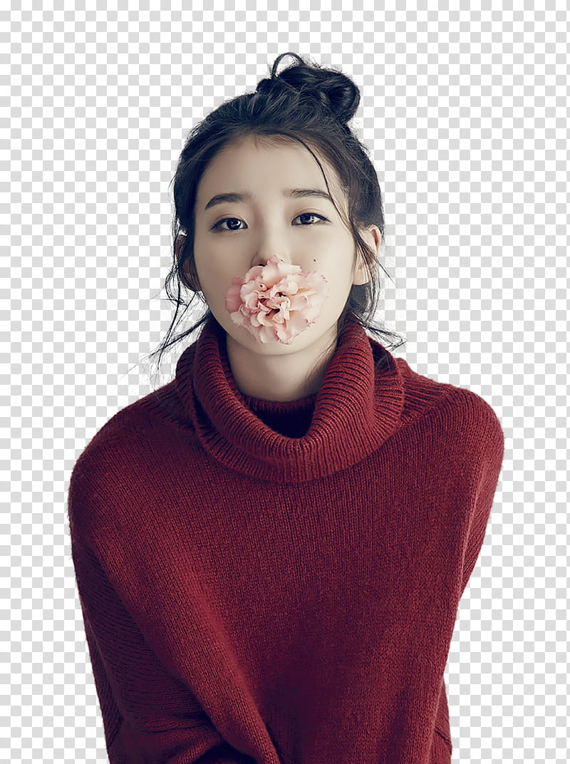 IU transparent background PNG clipart