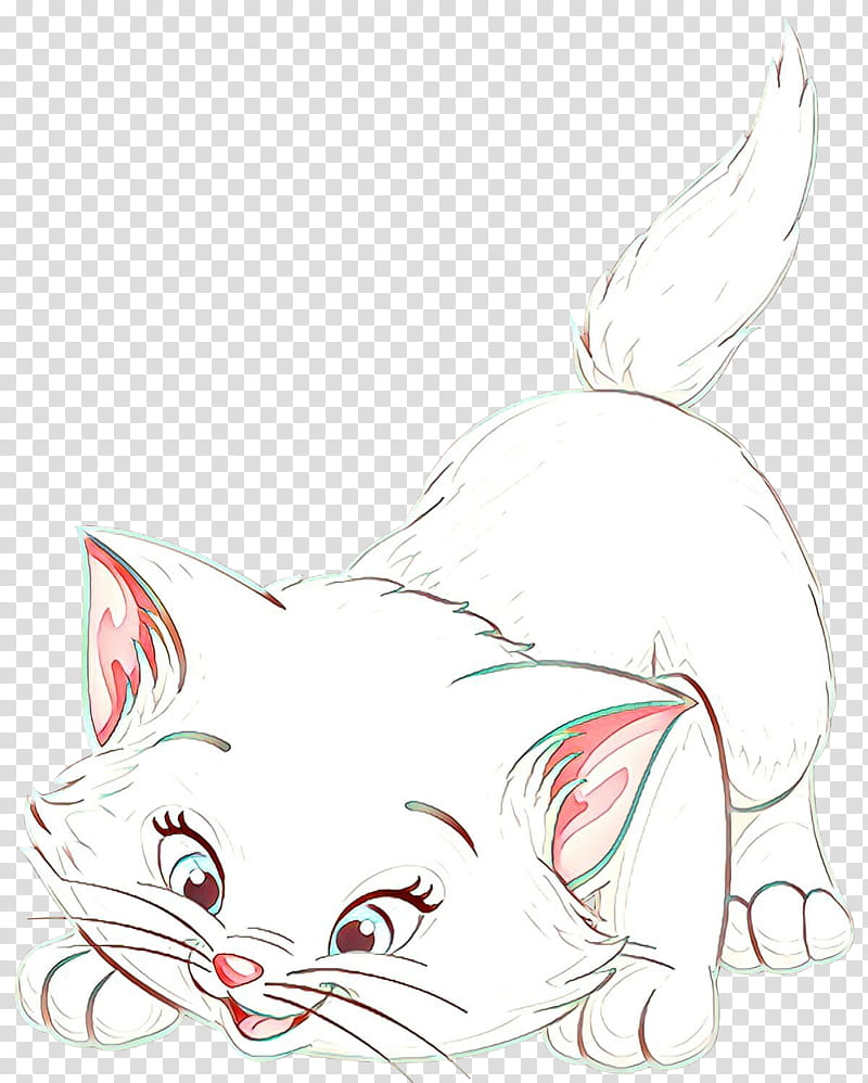 cat white small to medium-sized cats whiskers head, Cartoon, Small To Mediumsized Cats, Nose, Line Art, Tail, Snout transparent background PNG clipart