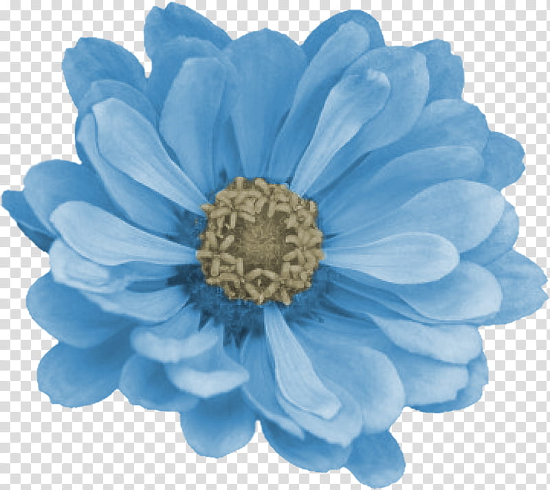 Smile Scrap Kit Freebie, blue-petaled flower art transparent background PNG clipart