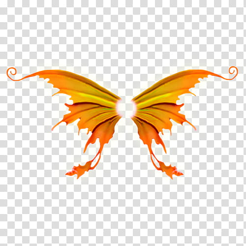 Monarch Butterfly, Brushfooted Butterflies, Wing, Borboleta, Insect, Orange, Orange Sa, Orange Oakleaf transparent background PNG clipart