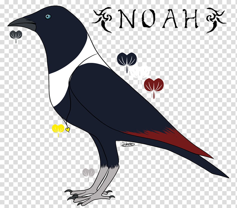 Noah transparent background PNG clipart