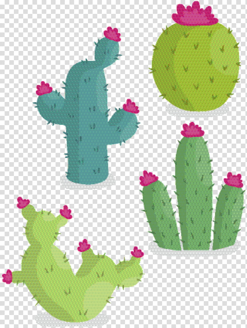 Cactus, Succulent Plant, Advertising, Cartoon, Cuteness, Flowerpot, Nopal, Barbary Fig transparent background PNG clipart