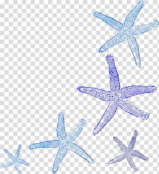 Coral Reef, Fish, Starfish, Coral Reef Fish transparent background PNG clipart