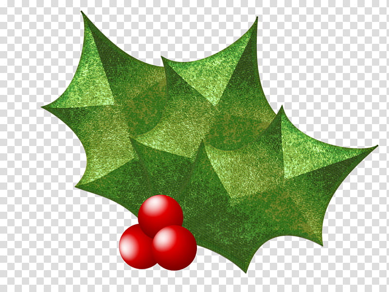 Hollies berries and leaves, mistletoe illustration transparent background PNG clipart