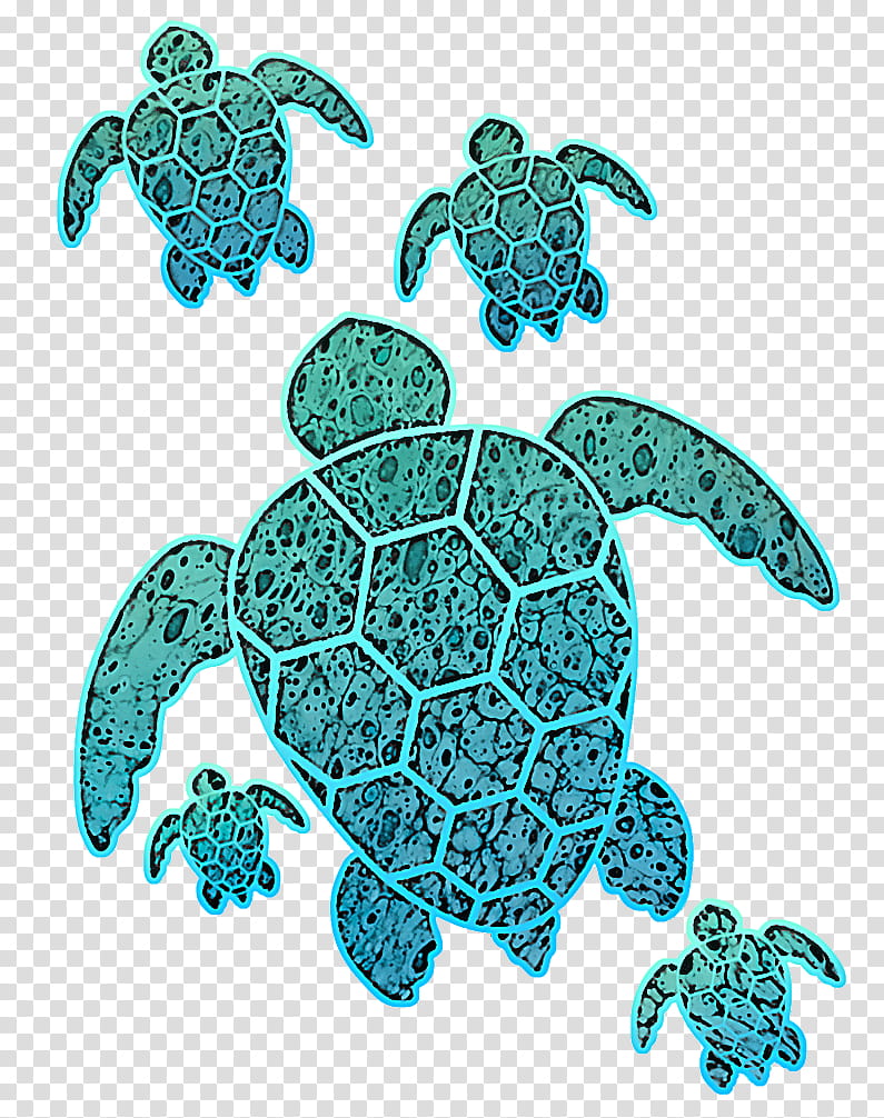 sea turtle green sea turtle turtle olive ridley sea turtle kemp's ridley sea turtle, Kemps Ridley Sea Turtle, Turquoise, Loggerhead Sea Turtle, Reptile, Hawksbill Sea Turtle transparent background PNG clipart