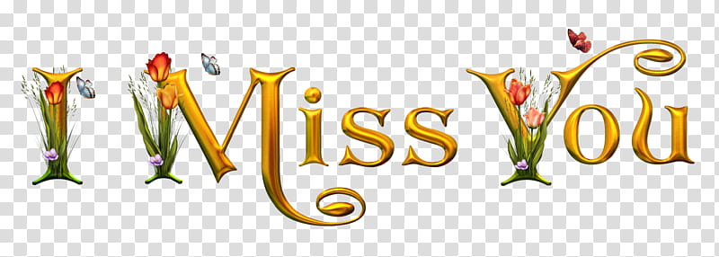 I Miss You, I Miss You text transparent background PNG clipart