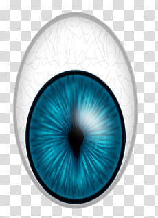 animals eyes, blue and white eye illustration transparent background PNG clipart