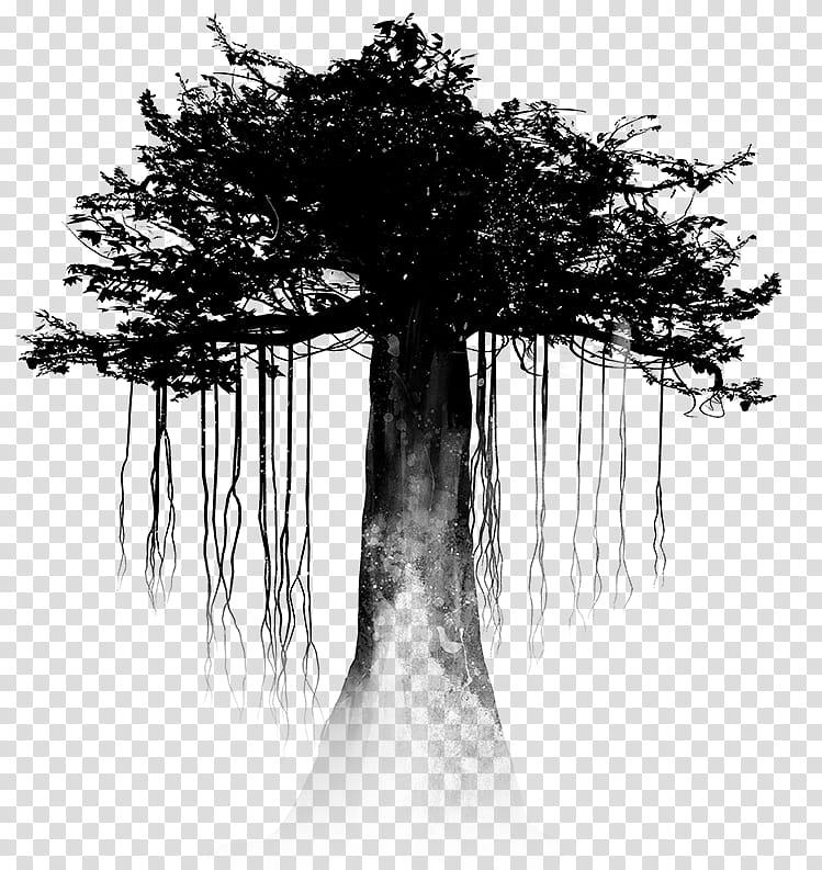 Tree Trunk Drawing, Computer, Branching, Nature, Woody Plant, Natural Landscape, Atmospheric Phenomenon, Blackandwhite transparent background PNG clipart