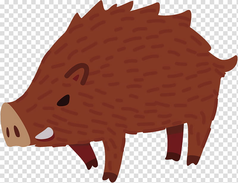 boar hedgehog snout suidae, Domestic Pig, Live, Erinaceidae, Animal Figure transparent background PNG clipart