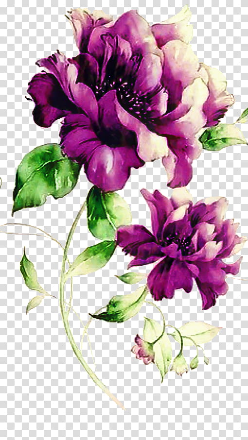 Bouquet Of Flowers Drawing, Watercolor Painting, Floral Design, Purple, Flower Bouquet, Frames, Violet, Petal transparent background PNG clipart