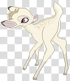 Astor, beige deer illustration transparent background PNG clipart