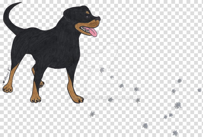 Dog Paw, Manchester Terrier, Rottweiler, Razas Nativas Vulnerables, Breed, Snout, Working Dog, Sporting Group transparent background PNG clipart