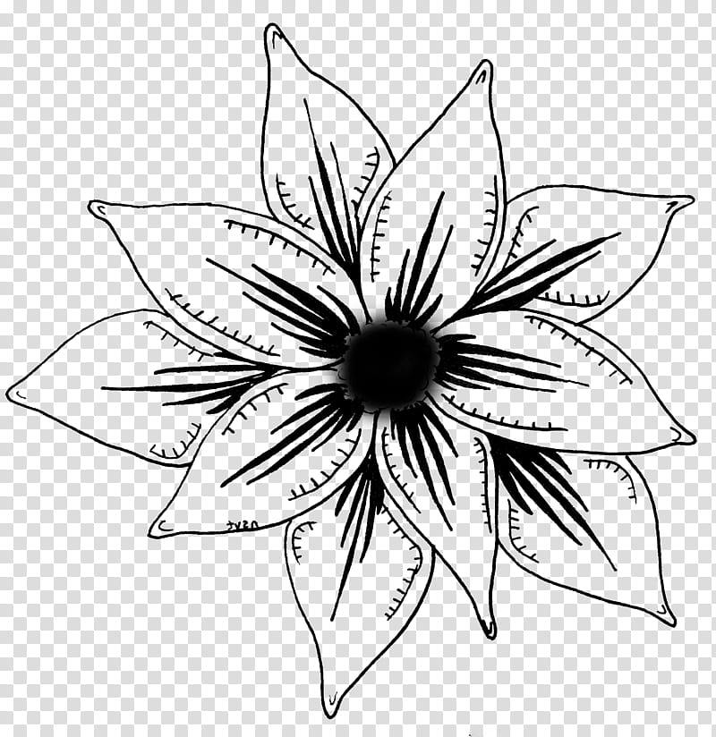 Drawing Of Family, Floral Design, Flower, Cut Flowers, Symmetry, Line Art, Plants, Blackandwhite transparent background PNG clipart