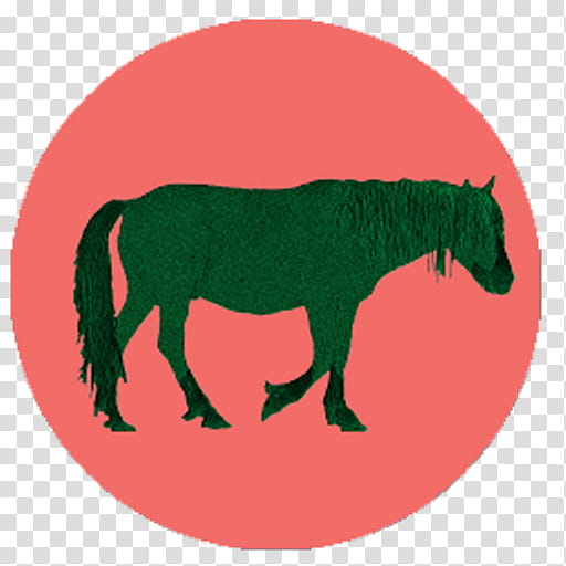 Green Grass, Pony, Chincoteague Pony, Mustang, Stallion, App Store, Itunes, Apple transparent background PNG clipart