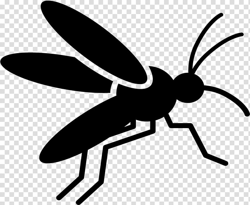Leaf Fly, Mosquito, Mosquitoborne Disease, , Yellow Fever Mosquito, Transmission, West Nile Fever, Chikungunya Virus Infection transparent background PNG clipart