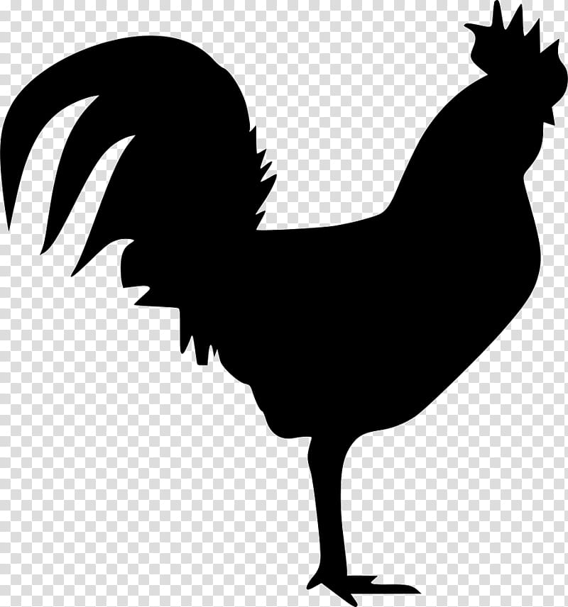 Cartoon Bird, Rooster, Chicken, Beak, Comb, Tail, Wing, Silhouette transparent background PNG clipart