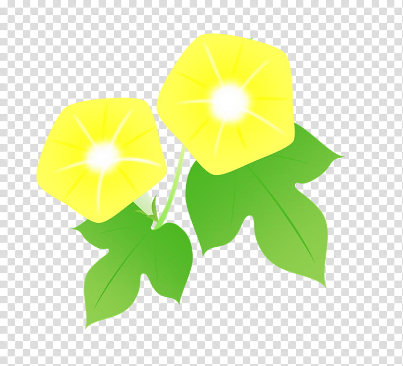 Sunflower, Japanese Morning Glory, Plants, Common Sunflower, Naver, Fruit, Yellow, Leaf transparent background PNG clipart