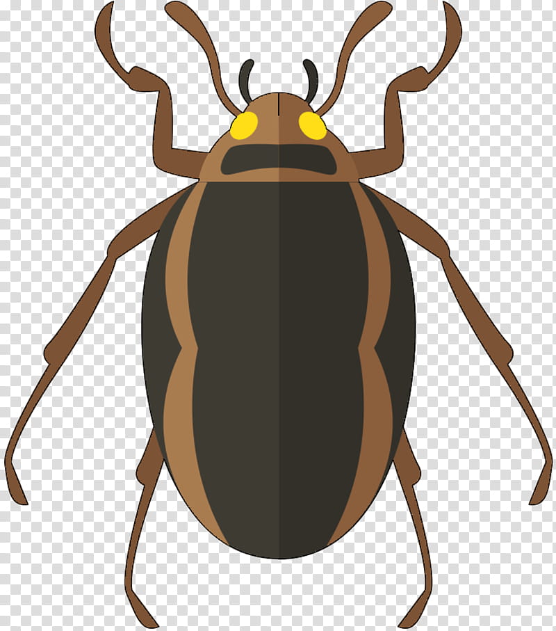 Cockroach, Beetle, Antenna, Cartoon, Insect, Pest, Weevil, Ground Beetle transparent background PNG clipart