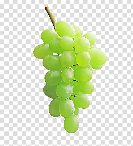 Tropical fruits, bunch of green grapes transparent background PNG clipart