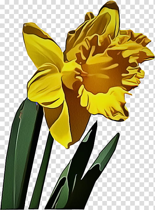 Flowers, Spring
, Blog, Painting, Yellow, Narcissus, Plant, Petal transparent background PNG clipart