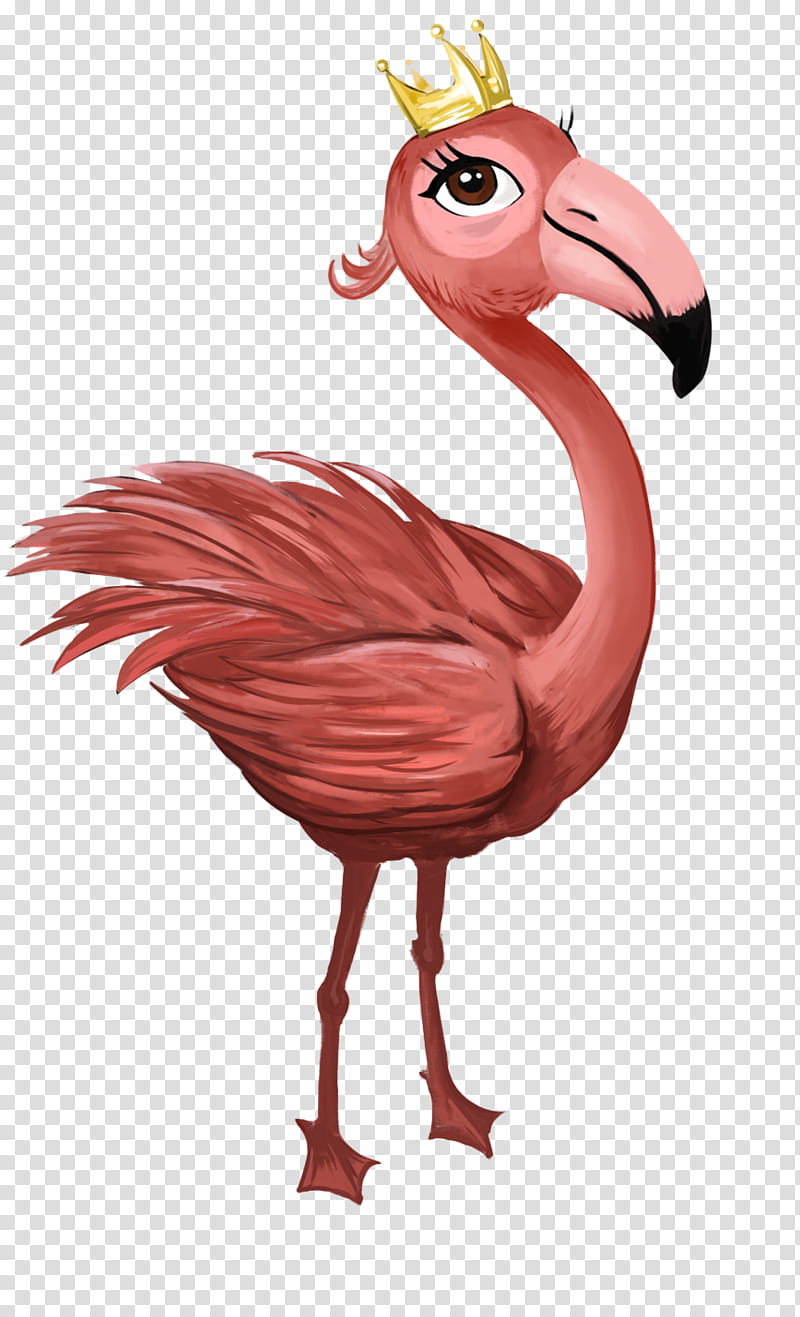 Flamingo, Bird, Greater Flamingo, Water Bird, Pink, Beak, Drawing, Wildlife transparent background PNG clipart