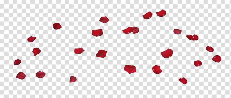 Red rose Petals III, red rose petal transparent background PNG clipart