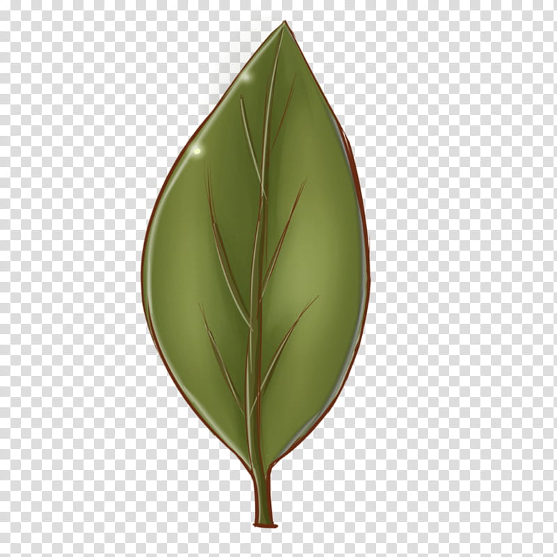 It&#;s a Leaf, green leaf art transparent background PNG clipart