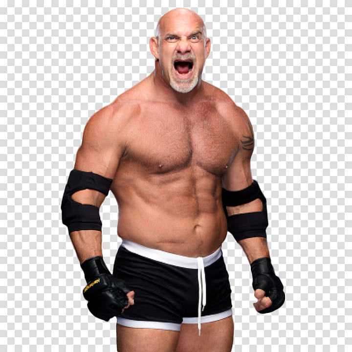 Goldberg   transparent background PNG clipart