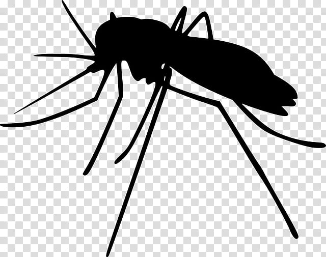 Mosquito Insect Silhouette Sticker, , Heartworm, Pest, Beetle, Fly, Parasite, Wing transparent background PNG clipart