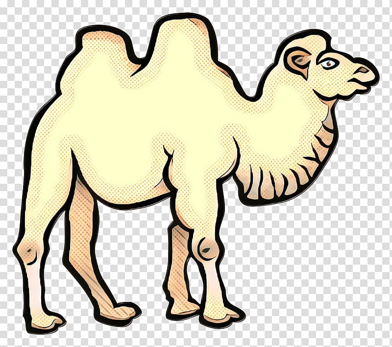 Train, Bactrian Camel, Dromedary, Line Art, Drawing, Coloring Book, Camel Train, Camelid transparent background PNG clipart