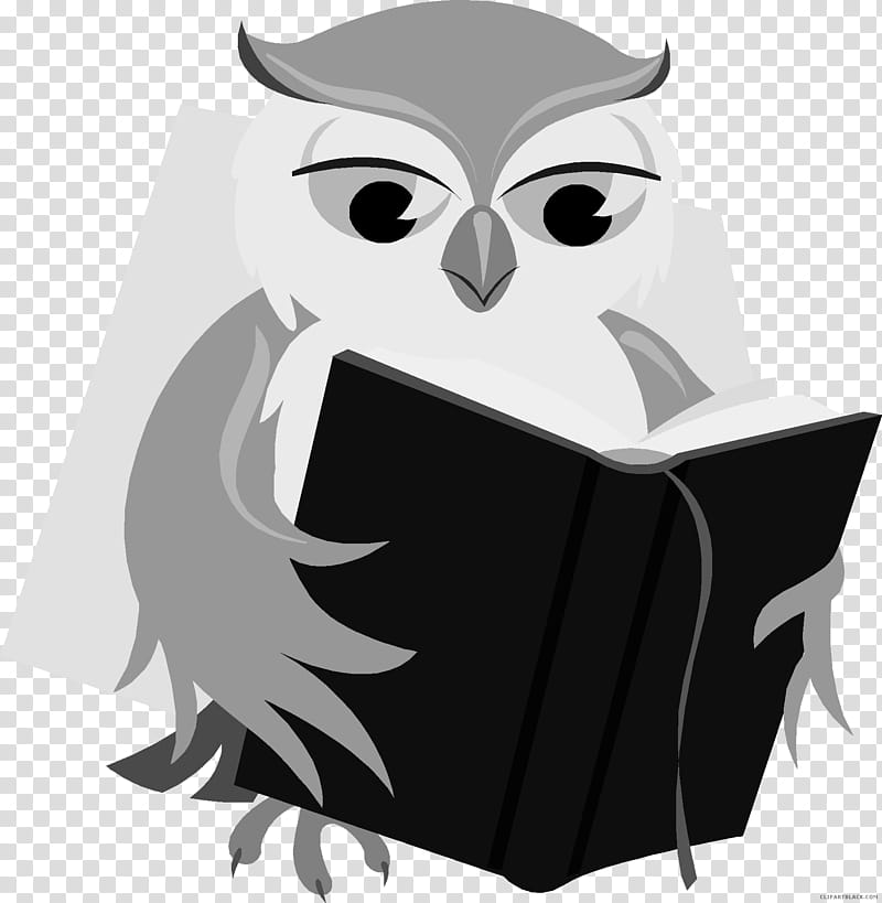 Cartoon Baby Bird, Baby Owl, Book, Reading, Owls, Drawing, Author, Library transparent background PNG clipart