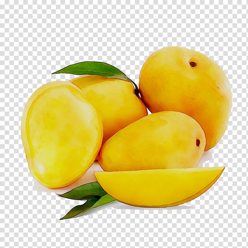 Cartoon Sun, Alphonso, Mango, Fruit, Mangifera Indica, Totapuri, Wholesale, Jackfruit transparent background PNG clipart