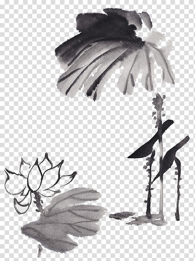 Black And White Flower, Sacred Lotus, Ink Wash Painting, India Ink, Watercolor Painting, Ink Brush, Black And White
, Leaf transparent background PNG clipart
