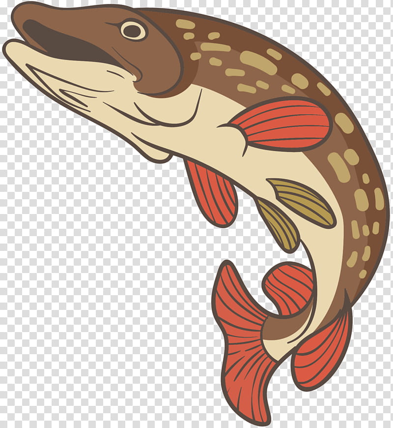 Animal, Fish, Cartoon, Brown Trout, Bass, Animal Figure, Dolphin transparent background PNG clipart
